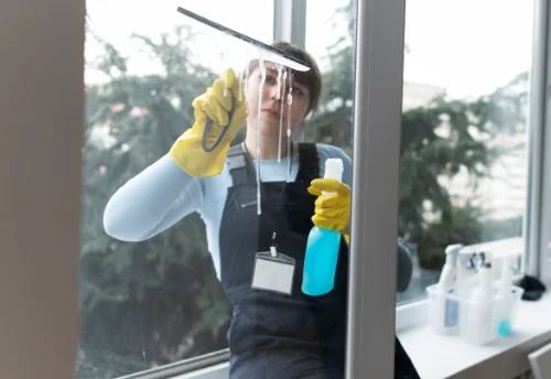 Nettoyage de vitres intérieures et extérieures à Orliénas